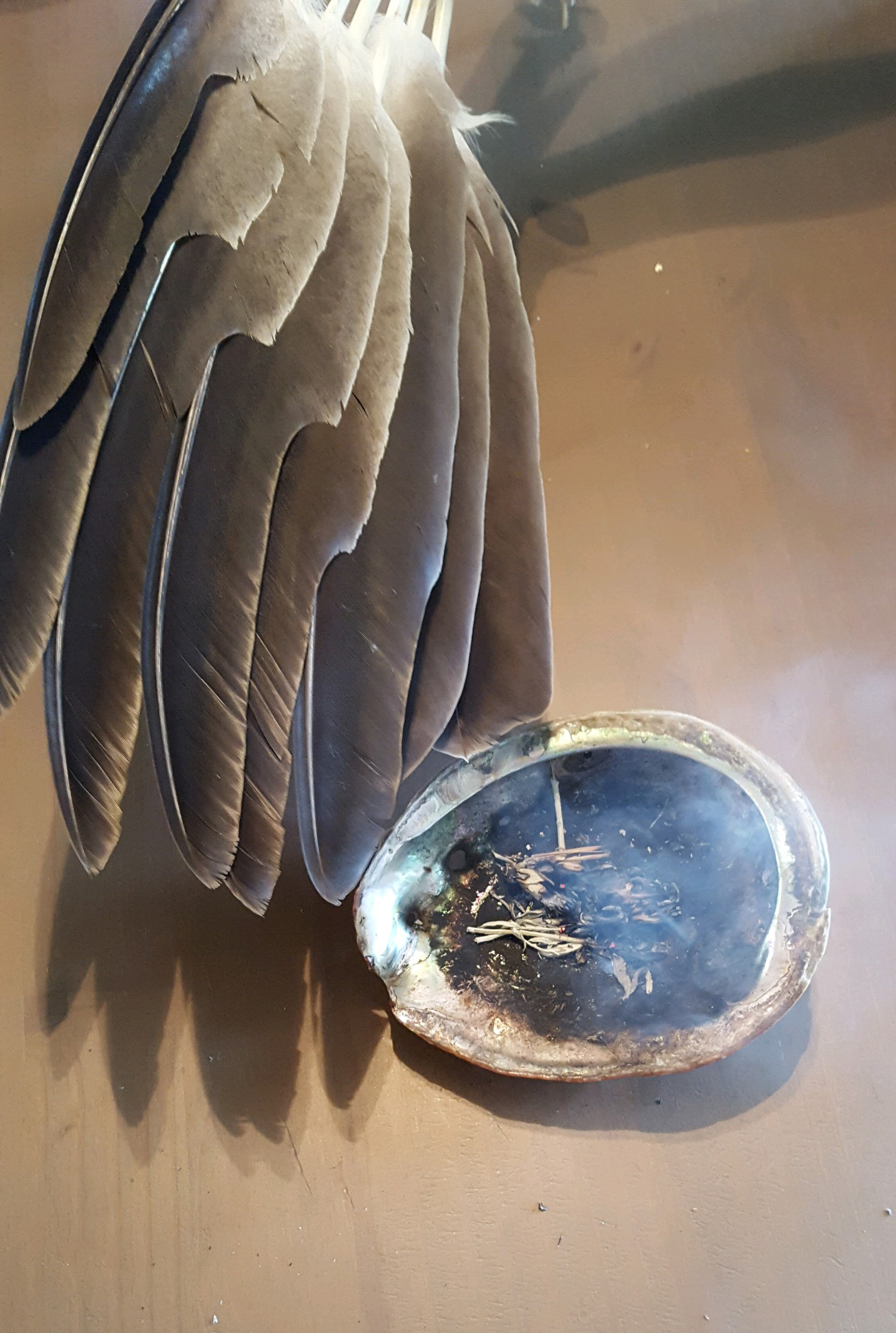 Eagle wing fan with burning sage in a shell.